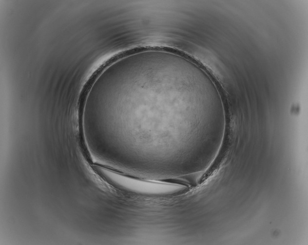 X0000097600934200803071426