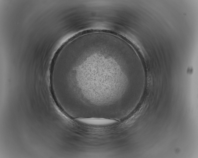 X0000097600935200803071427