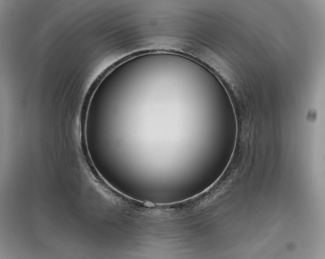 X0000097600936200803071427
