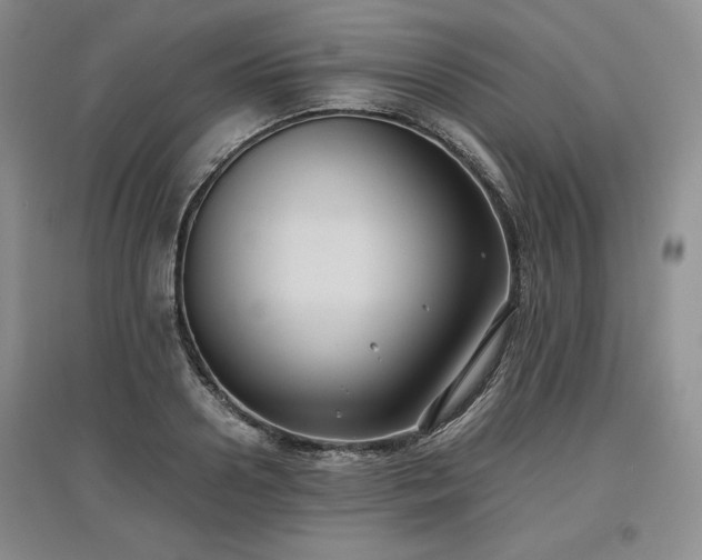X0000097600938200803071427