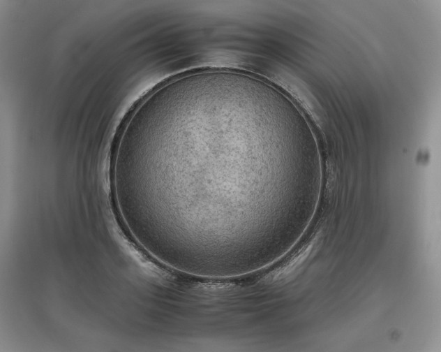 X0000097600939200803071427