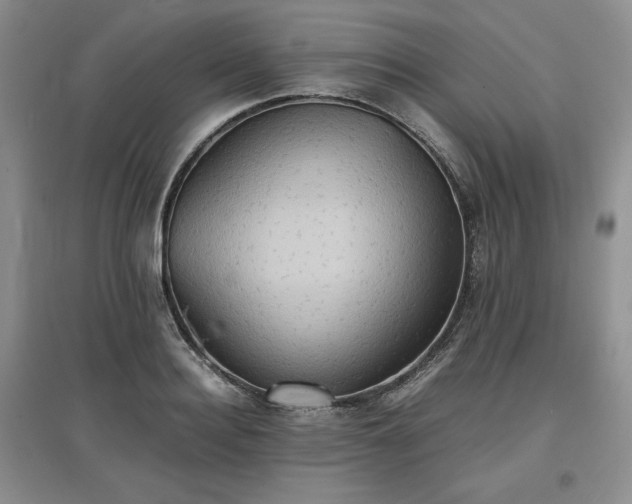 X0000097600940200803071427
