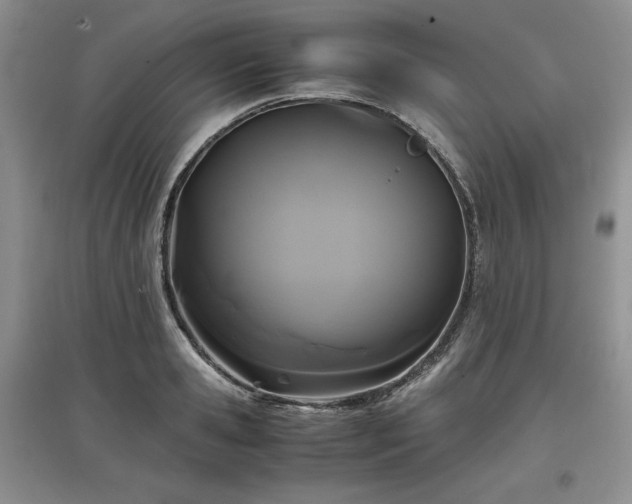 X0000097600941200803071427