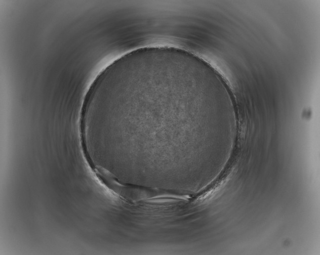 X0000097600943200803071427
