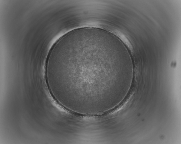 X0000097600944200803071427