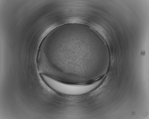X0000097600946200803071427