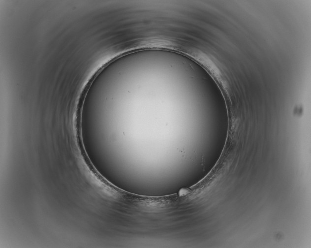 X0000097600947200803071427