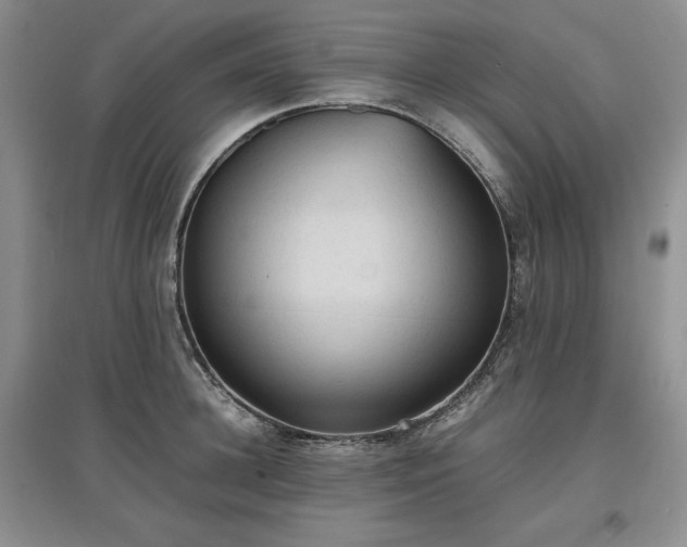 X0000097600948200803071427