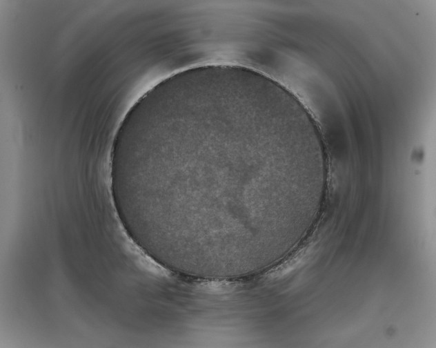 X0000097600950200803071427