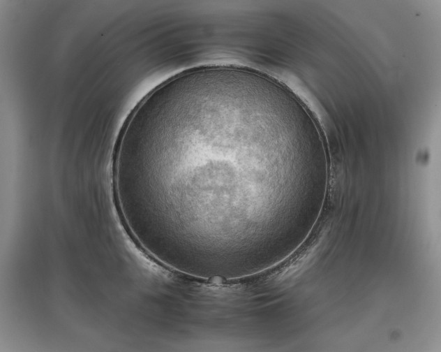 X0000097600951200803071427