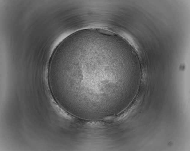 X0000097600952200803071427