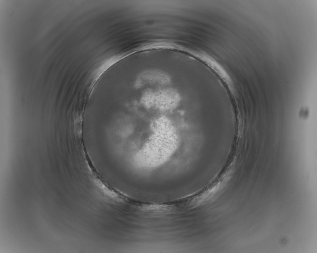 X0000097600953200803071427