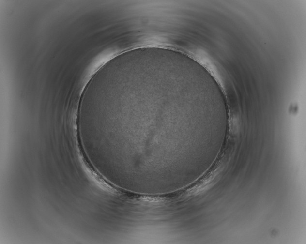 X0000097600954200803071427