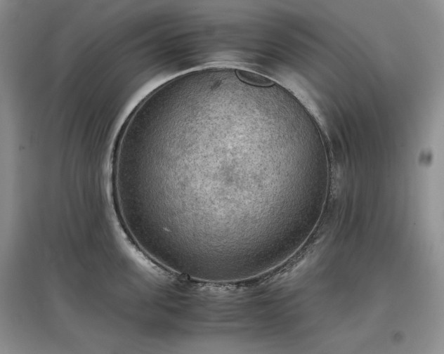 X0000097600955200803071427