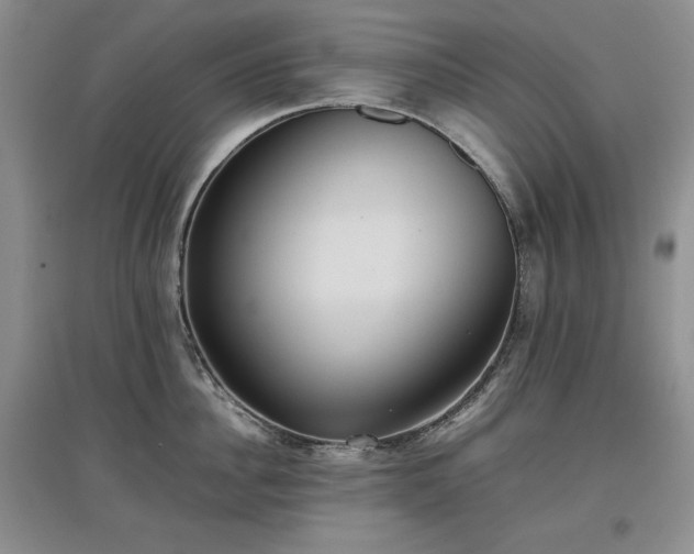 X0000097600956200803071427