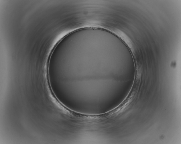 X0000097600958200803071427
