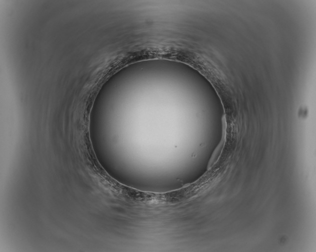 X0000097600961200803071426