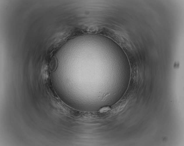 X0000097600962200803071426