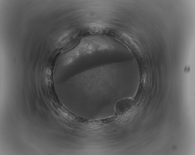 X0000097600964200803071426