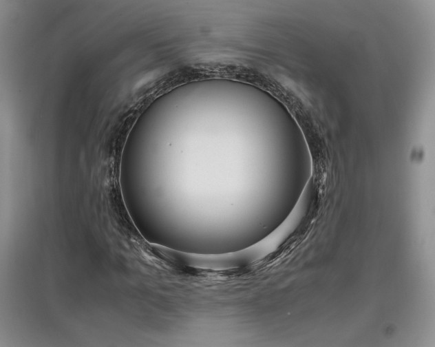 X0000097600965200803071426