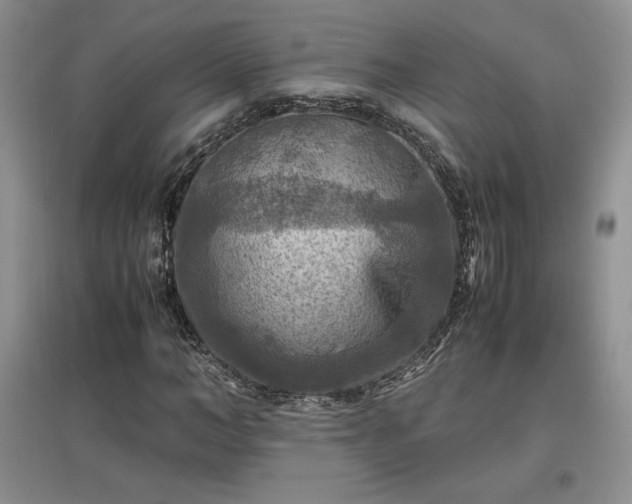X0000097600966200803071426