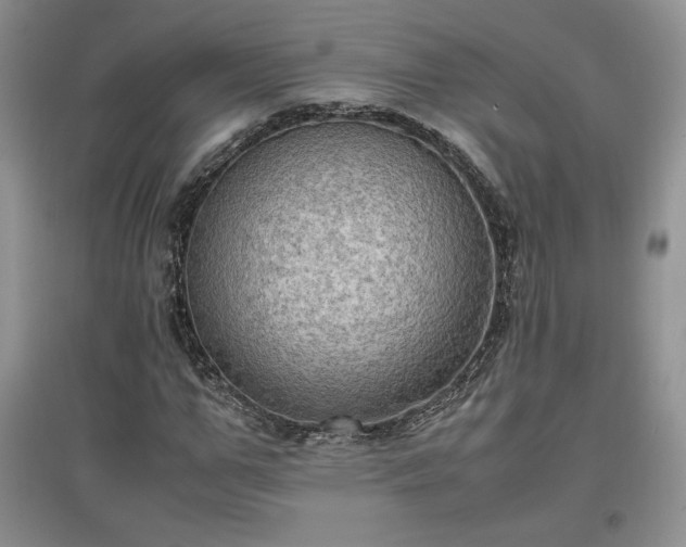 X0000097600967200803071426