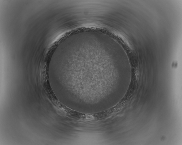 X0000097600968200803071426