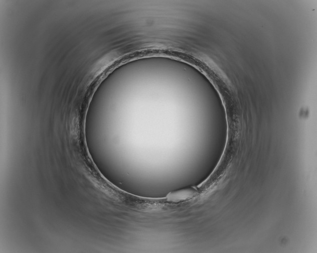 X0000097600969200803071426