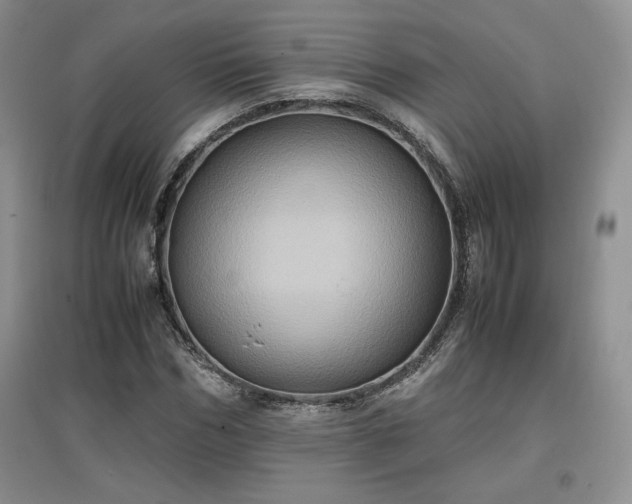 X0000097600970200803071426