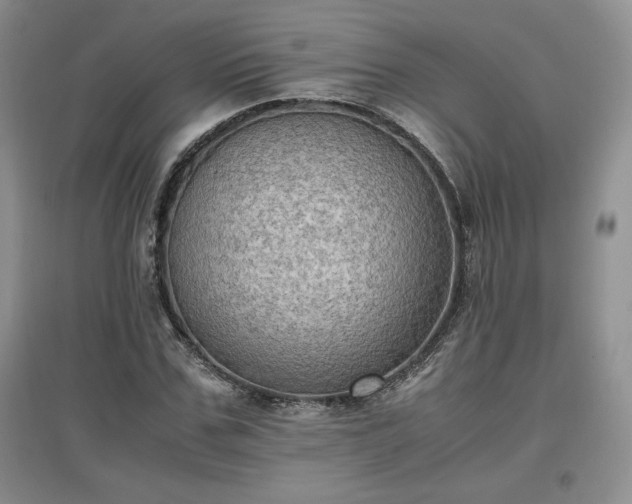 X0000097600971200803071426