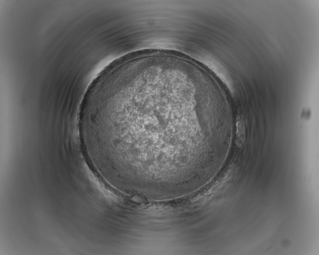 X0000097600972200803071426
