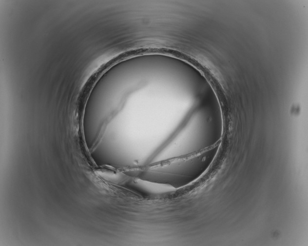 X0000097600973200803071426
