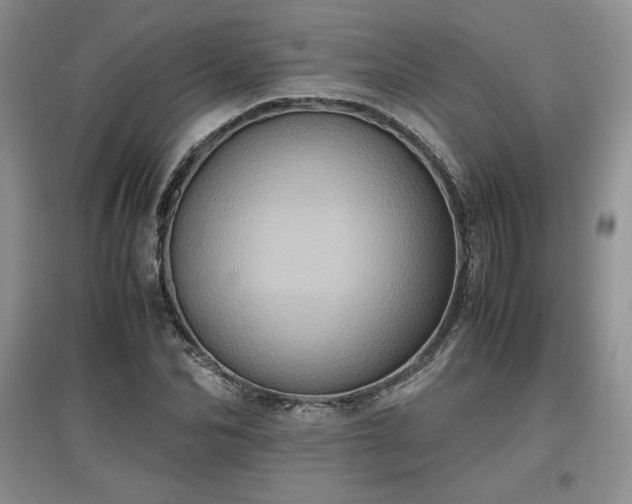 X0000097600974200803071426