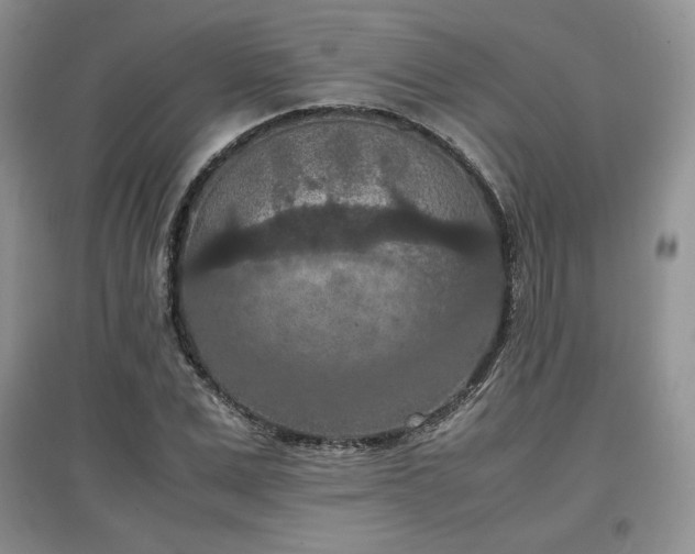 X0000097600975200803071426