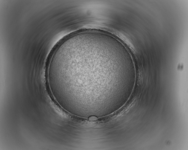 X0000097600976200803071426
