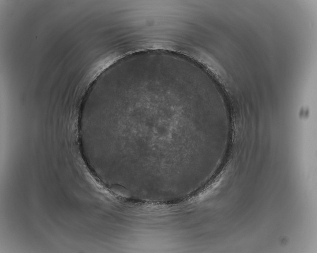 X0000097600977200803071426