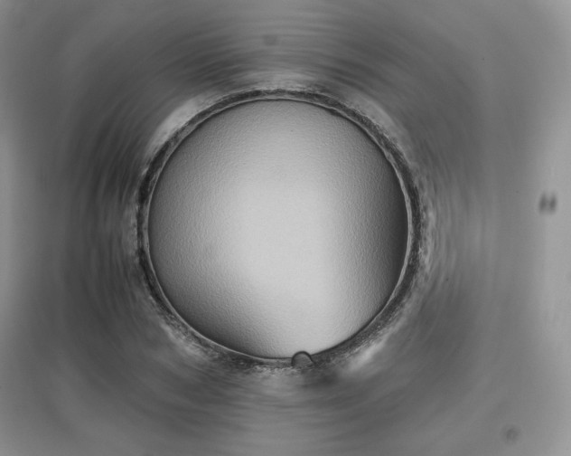 X0000097600978200803071426
