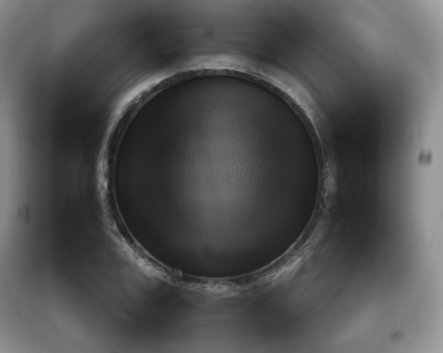 X0000097600979200803071426
