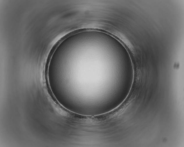 X0000097600980200803071426