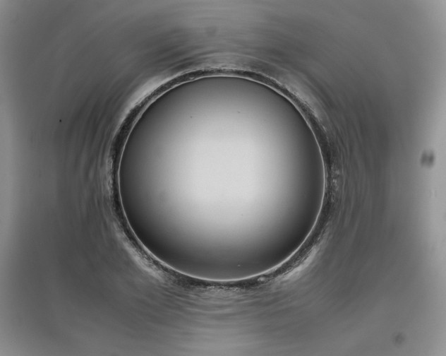 X0000097600981200803071426
