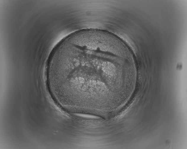 X0000097600983200803071426