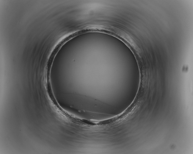 X0000097600984200803071426
