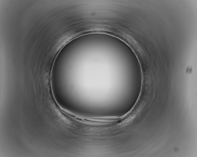 X0000097600985200803071426