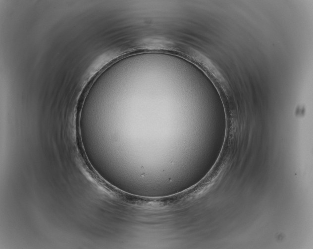 X0000097600986200803071426