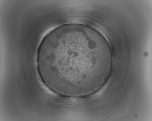 X0000097600987200803071426