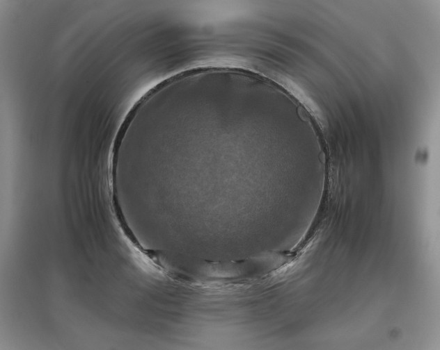 X0000097600988200803071426