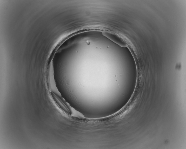 X0000097600989200803071426