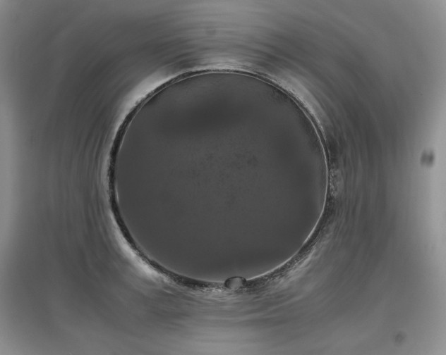 X0000097600995200803071426