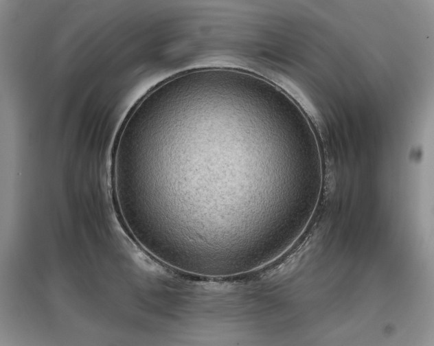 X0000097600996200803071426