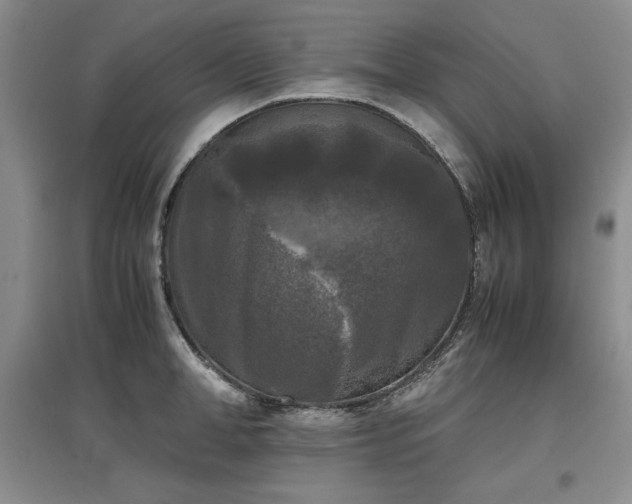 X0000097600998200803071426